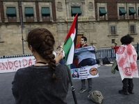 Palestinian activists and supporters demonstrate against the genocide in Gaza in the Zocalo of Mexico City, Mexico, on December 6, 2024, to...