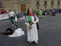 A woman sympathetic to Palestine demonstrates against the genocide in Gaza in the Zocalo of Mexico City, Mexico, on December 6, 2024, to dem...