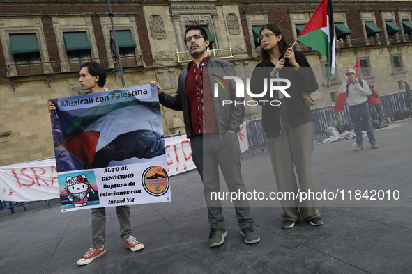 Palestinian activists and supporters demonstrate against the genocide in Gaza in the Zocalo of Mexico City, Mexico, on December 6, 2024, to...