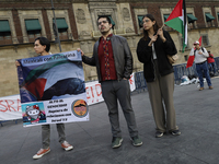 Palestinian activists and supporters demonstrate against the genocide in Gaza in the Zocalo of Mexico City, Mexico, on December 6, 2024, to...