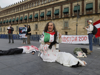 Palestinian activists and supporters demonstrate against the genocide in Gaza in the Zocalo of Mexico City, Mexico, on December 6, 2024, to...