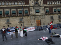 Palestinian activists and supporters demonstrate against the genocide in Gaza in the Zocalo of Mexico City, Mexico, on December 6, 2024, to...