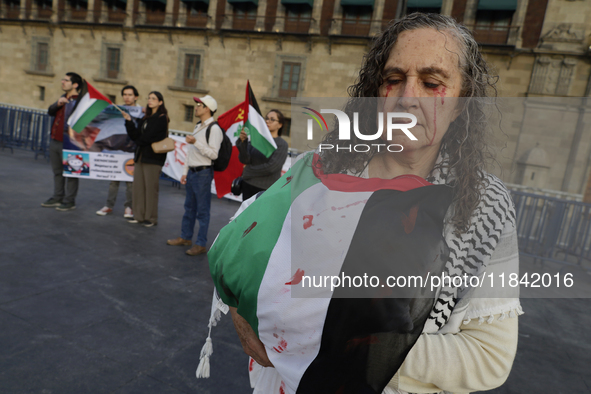 A woman sympathetic to Palestine demonstrates against the genocide in Gaza in the Zocalo of Mexico City, Mexico, on December 6, 2024, to dem...