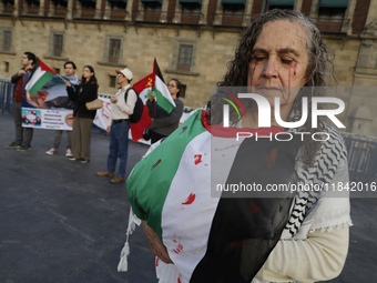 A woman sympathetic to Palestine demonstrates against the genocide in Gaza in the Zocalo of Mexico City, Mexico, on December 6, 2024, to dem...