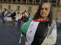 A woman sympathetic to Palestine demonstrates against the genocide in Gaza in the Zocalo of Mexico City, Mexico, on December 6, 2024, to dem...