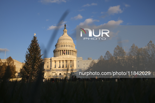 The Capitol Christmas tree is outside the US Capitol in Washington, DC, on December 6, 2024. The 2024 tree is an 80-foot Sitka spruce from t...