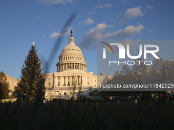 The Capitol Christmas tree is outside the US Capitol in Washington, DC, on December 6, 2024. The 2024 tree is an 80-foot Sitka spruce from t...