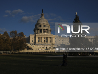 The Capitol Christmas tree is outside the US Capitol in Washington, DC, on December 6, 2024. The 2024 tree is an 80-foot Sitka spruce from t...