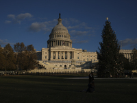 The Capitol Christmas tree is outside the US Capitol in Washington, DC, on December 6, 2024. The 2024 tree is an 80-foot Sitka spruce from t...