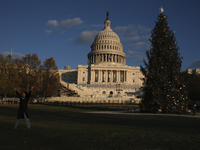 The Capitol Christmas tree is outside the US Capitol in Washington, DC, on December 6, 2024. The 2024 tree is an 80-foot Sitka spruce from t...