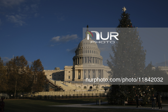 The Capitol Christmas tree is outside the US Capitol in Washington, DC, on December 6, 2024. The 2024 tree is an 80-foot Sitka spruce from t...