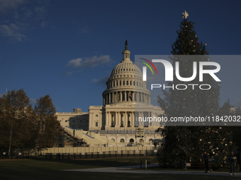 The Capitol Christmas tree is outside the US Capitol in Washington, DC, on December 6, 2024. The 2024 tree is an 80-foot Sitka spruce from t...