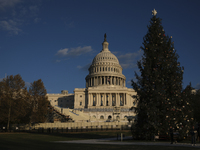 The Capitol Christmas tree is outside the US Capitol in Washington, DC, on December 6, 2024. The 2024 tree is an 80-foot Sitka spruce from t...