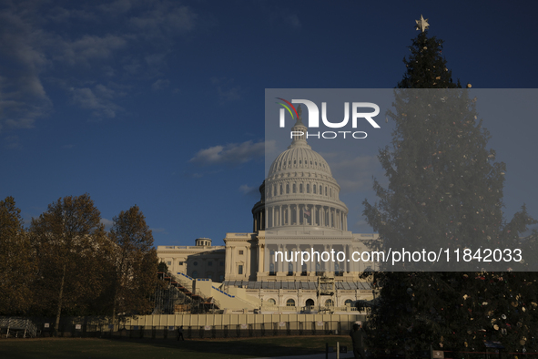 The Capitol Christmas tree is outside the US Capitol in Washington, DC, on December 6, 2024. The 2024 tree is an 80-foot Sitka spruce from t...