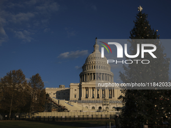 The Capitol Christmas tree is outside the US Capitol in Washington, DC, on December 6, 2024. The 2024 tree is an 80-foot Sitka spruce from t...