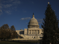 The Capitol Christmas tree is outside the US Capitol in Washington, DC, on December 6, 2024. The 2024 tree is an 80-foot Sitka spruce from t...