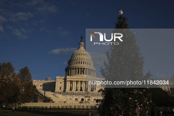 The Capitol Christmas tree is outside the US Capitol in Washington, DC, on December 6, 2024. The 2024 tree is an 80-foot Sitka spruce from t...