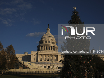 The Capitol Christmas tree is outside the US Capitol in Washington, DC, on December 6, 2024. The 2024 tree is an 80-foot Sitka spruce from t...