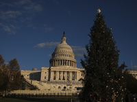 The Capitol Christmas tree is outside the US Capitol in Washington, DC, on December 6, 2024. The 2024 tree is an 80-foot Sitka spruce from t...