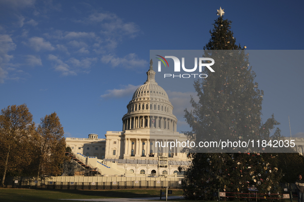 The Capitol Christmas tree is outside the US Capitol in Washington, DC, on December 6, 2024. The 2024 tree is an 80-foot Sitka spruce from t...