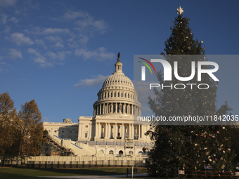 The Capitol Christmas tree is outside the US Capitol in Washington, DC, on December 6, 2024. The 2024 tree is an 80-foot Sitka spruce from t...