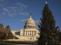 The Capitol Christmas tree is outside the US Capitol in Washington, DC, on December 6, 2024. The 2024 tree is an 80-foot Sitka spruce from t...