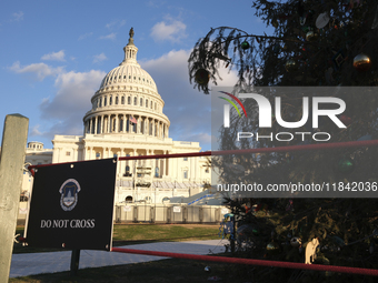 The Capitol Christmas tree is outside the US Capitol in Washington, DC, on December 6, 2024. The 2024 tree is an 80-foot Sitka spruce from t...