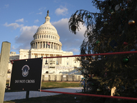 The Capitol Christmas tree is outside the US Capitol in Washington, DC, on December 6, 2024. The 2024 tree is an 80-foot Sitka spruce from t...