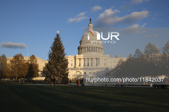 The Capitol Christmas tree is outside the US Capitol in Washington, DC, on December 6, 2024. The 2024 tree is an 80-foot Sitka spruce from t...