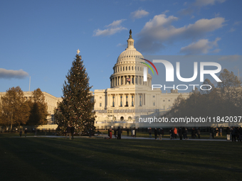 The Capitol Christmas tree is outside the US Capitol in Washington, DC, on December 6, 2024. The 2024 tree is an 80-foot Sitka spruce from t...