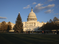 The Capitol Christmas tree is outside the US Capitol in Washington, DC, on December 6, 2024. The 2024 tree is an 80-foot Sitka spruce from t...