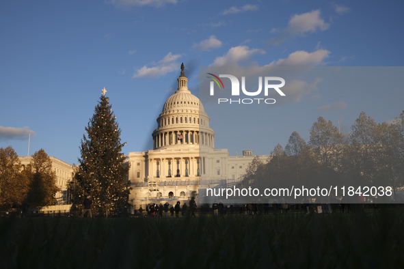 The Capitol Christmas tree is outside the US Capitol in Washington, DC, on December 6, 2024. The 2024 tree is an 80-foot Sitka spruce from t...