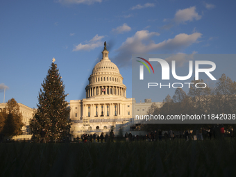 The Capitol Christmas tree is outside the US Capitol in Washington, DC, on December 6, 2024. The 2024 tree is an 80-foot Sitka spruce from t...