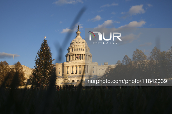 The Capitol Christmas tree is outside the US Capitol in Washington, DC, on December 6, 2024. The 2024 tree is an 80-foot Sitka spruce from t...