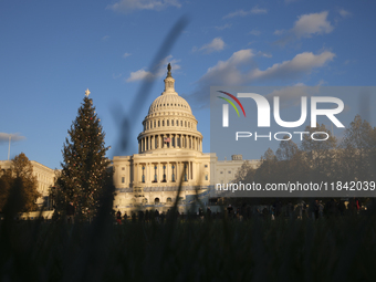 The Capitol Christmas tree is outside the US Capitol in Washington, DC, on December 6, 2024. The 2024 tree is an 80-foot Sitka spruce from t...