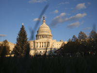 The Capitol Christmas tree is outside the US Capitol in Washington, DC, on December 6, 2024. The 2024 tree is an 80-foot Sitka spruce from t...