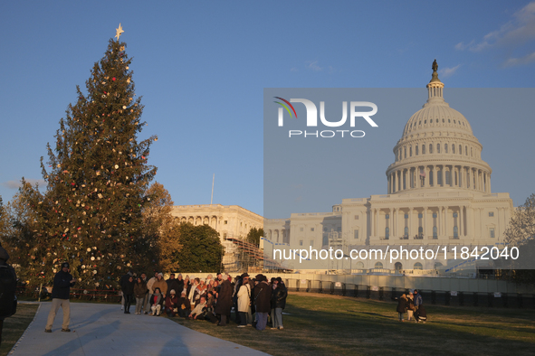 The Capitol Christmas tree is outside the US Capitol in Washington, DC, on December 6, 2024. The 2024 tree is an 80-foot Sitka spruce from t...