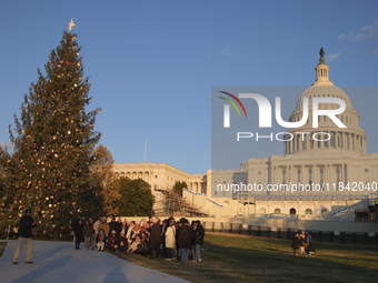 The Capitol Christmas tree is outside the US Capitol in Washington, DC, on December 6, 2024. The 2024 tree is an 80-foot Sitka spruce from t...