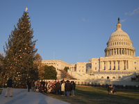 The Capitol Christmas tree is outside the US Capitol in Washington, DC, on December 6, 2024. The 2024 tree is an 80-foot Sitka spruce from t...