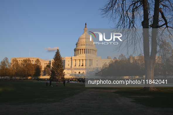 The Capitol Christmas tree is outside the US Capitol in Washington, DC, on December 6, 2024. The 2024 tree is an 80-foot Sitka spruce from t...