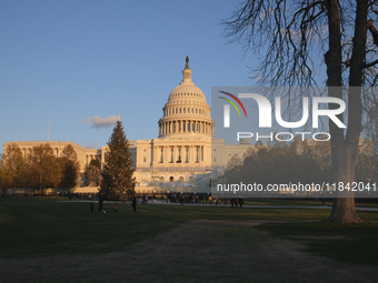 The Capitol Christmas tree is outside the US Capitol in Washington, DC, on December 6, 2024. The 2024 tree is an 80-foot Sitka spruce from t...