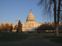 The Capitol Christmas tree is outside the US Capitol in Washington, DC, on December 6, 2024. The 2024 tree is an 80-foot Sitka spruce from t...