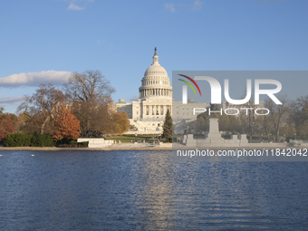 The Capitol Christmas tree is outside the US Capitol in Washington, DC, on December 6, 2024. The 2024 tree is an 80-foot Sitka spruce from t...