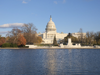 The Capitol Christmas tree is outside the US Capitol in Washington, DC, on December 6, 2024. The 2024 tree is an 80-foot Sitka spruce from t...