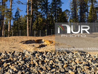 Land continues to move along the California State Route 20 Omega curves project near Nevada City, California, on December 6, 2024. (