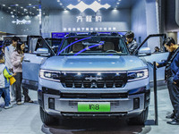 Visitors view a BYD Leopard 8 at the 2024 ASEAN International Auto Show in Nanning, China, on December 7, 2024. (