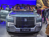 Visitors look at BYD's YANGWANG stand at the 2024 ASEAN International Auto Show in Nanning, China, on December 7, 2024. (