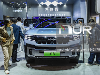 Visitors view a BYD Leopard 8 at the 2024 ASEAN International Auto Show in Nanning, China, on December 7, 2024. (