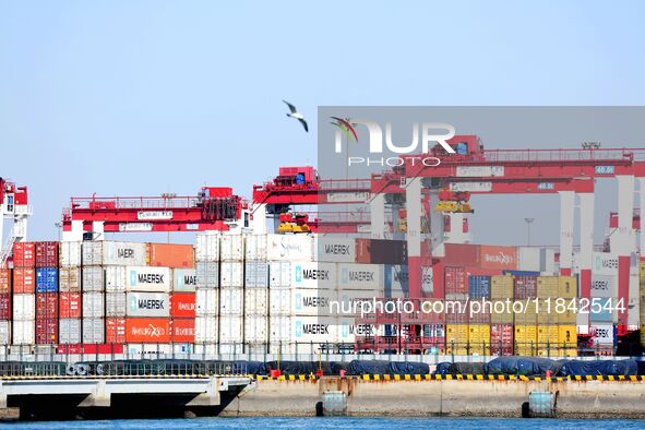 Foreign trade containers are seen at the port of Qingdao in Qingdao, China, on December 7, 2024. 