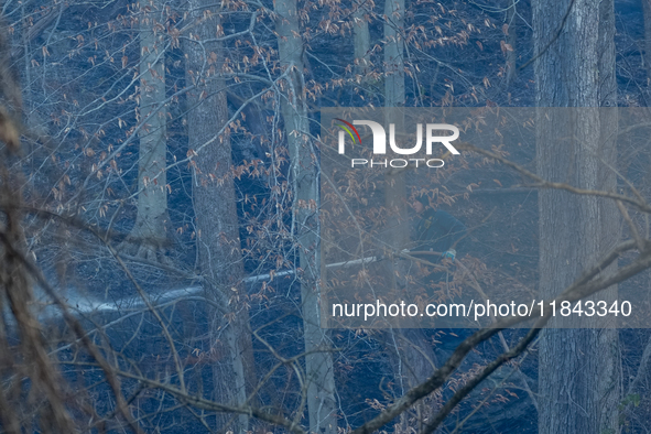 The Washington DC Fire Department battles a brush fire in Rock Creek Park, a National Park in Washington DC, on December 7, 2024. The fire b...